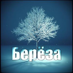 Берёза