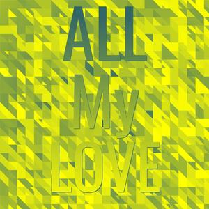 Tonight You Belong To Me