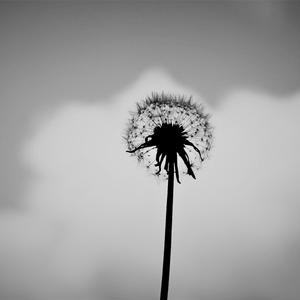 Alone (feat. Kevin Proano & Shane Hinson)