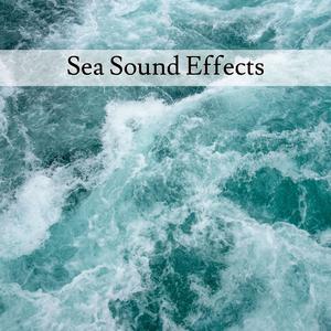 Sea Waves Sound