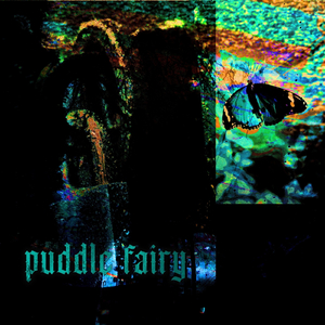 Ghost in the Cabinet