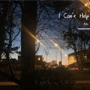 Can't Help Falling in Love