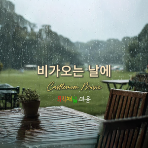 비가 오는 날에