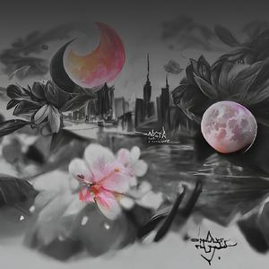 Stillness of the night