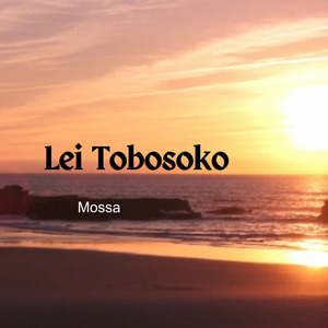 Lei Tobosoko