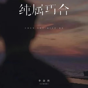 纯属巧合 (DJ杨杨版)