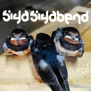 Canım Kalktı Gitmeye