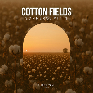 Cotton Fields