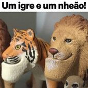 fasuz