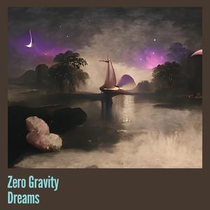 Zero Gravity Dreams
