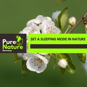 Watching In Mother Natures Eyes