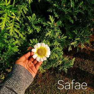 Safae