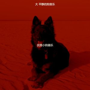 优美可爱的狗器乐