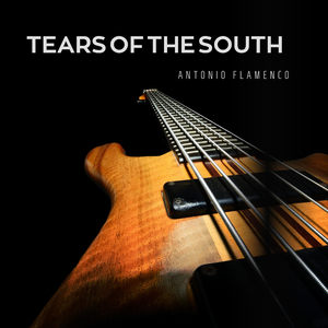 Souls in Pain (Guitar Version)