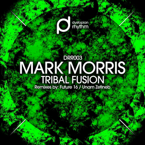 Indysine (Original Mix)