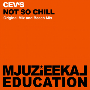 Not So Chill (Beach Mix)