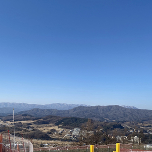 满山葡萄红艳艳