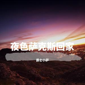 年少的喜欢 (夜色萨克斯)