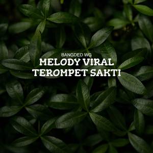 MELODY VIRAL TEROMPET SAKTI