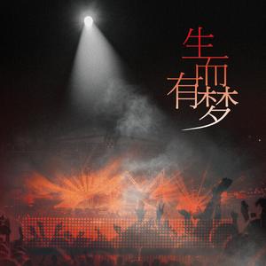 生而有梦（刘也应援曲）