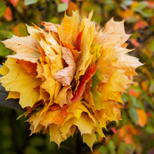 Я люблю тебя