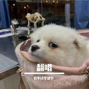 十万毫升泪水（翻自 蔡健雅）