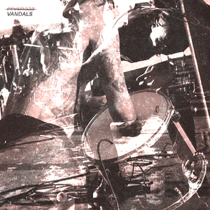 VANDALS