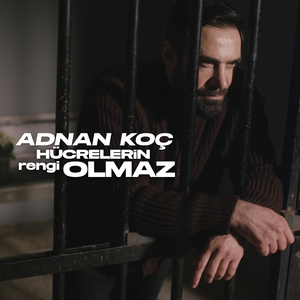 Hücrelerin Rengi Olmaz