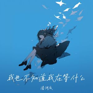 我也不知道我在等什么