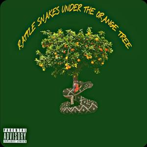 DEMONSTRATE (RATTLE SNAKE UNDER THE ORANGE TREE)