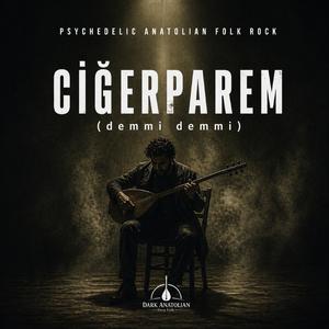 ciğerparem (demmi demmi)