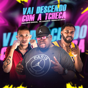 Vai Descendo Com a Tcheca (Remix)