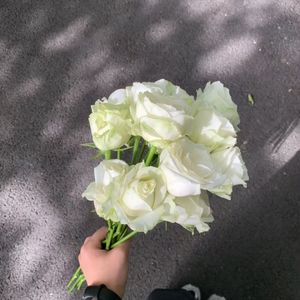 久别重逢的浪漫回响