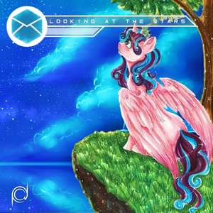 Looking At The Stars