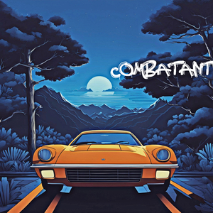 Combatant