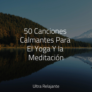 Relájate en Armonía