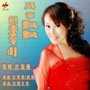 风雨飘飘迟来爱-红蔷薇