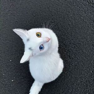 《临界点》