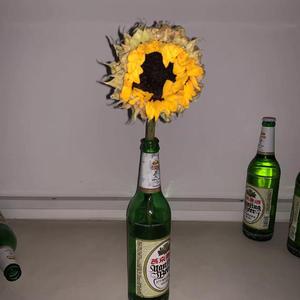 在我成为井井有条的大人之前