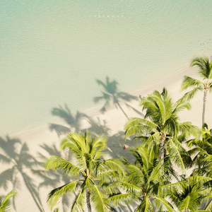 그 여름의 바다에서