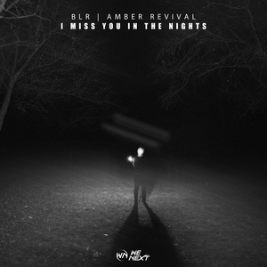 I Miss You In The Nights