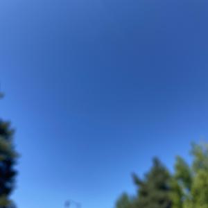 E.T.O.B Mustardstacks