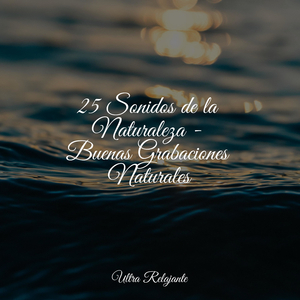 Disciplina De Entrenamiento