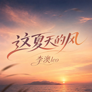 这夏天的风
