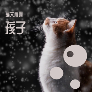 孩子(女生弹唱版)