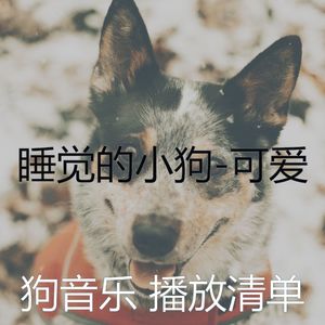 狗午睡(音乐)