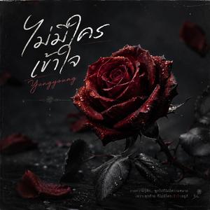 ไม่มีใครเข้าใจ (remix)