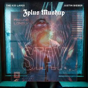 Stay & Feeling Lonely(Zplus Mashup)