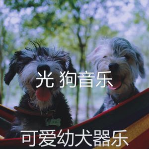 抚慰的可爱的狗回忆