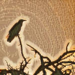 Birds work for the Bourgeoisie